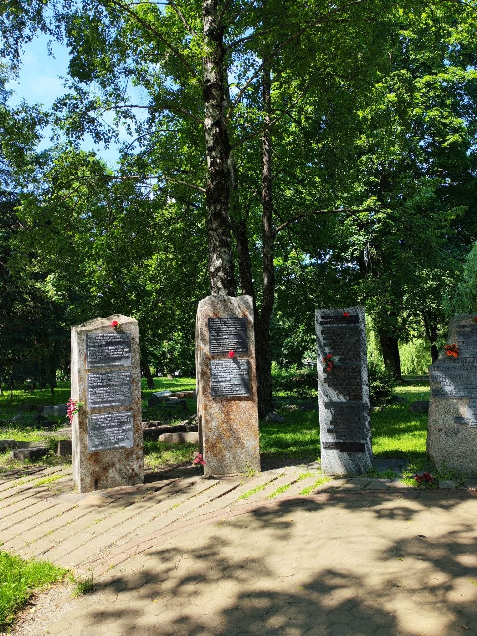 image_1