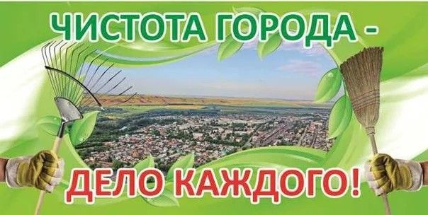 Вклад в чистоту и порядок